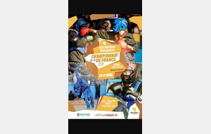 CHAMPIONNAT FRANCE COMBATS AMV